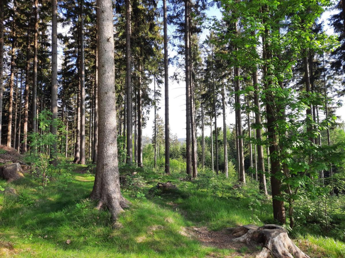 Apartman Mezi Stromy Rokytnice nad Jizerou Exterior foto